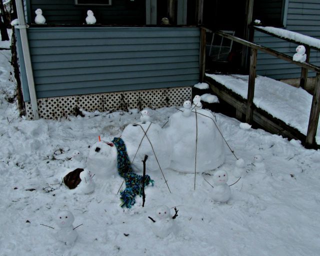 Прикольные картинки