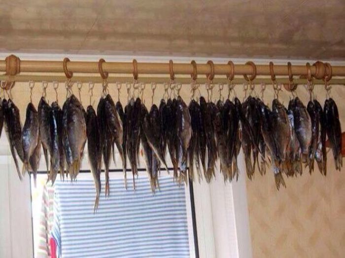 Привет из России