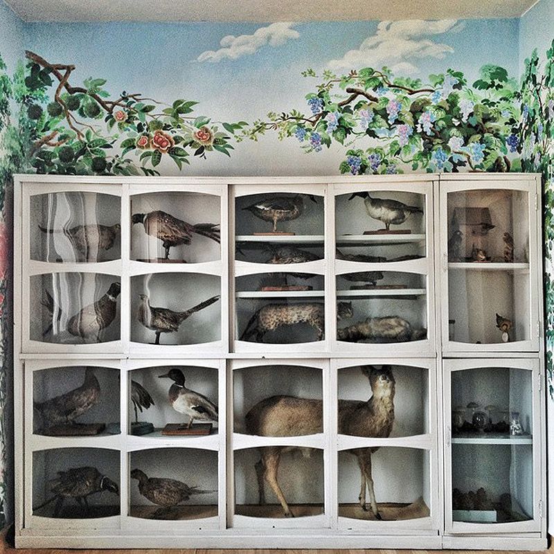 Instagram-фотографом года по версии TIME стал автор блога о Северной Корее