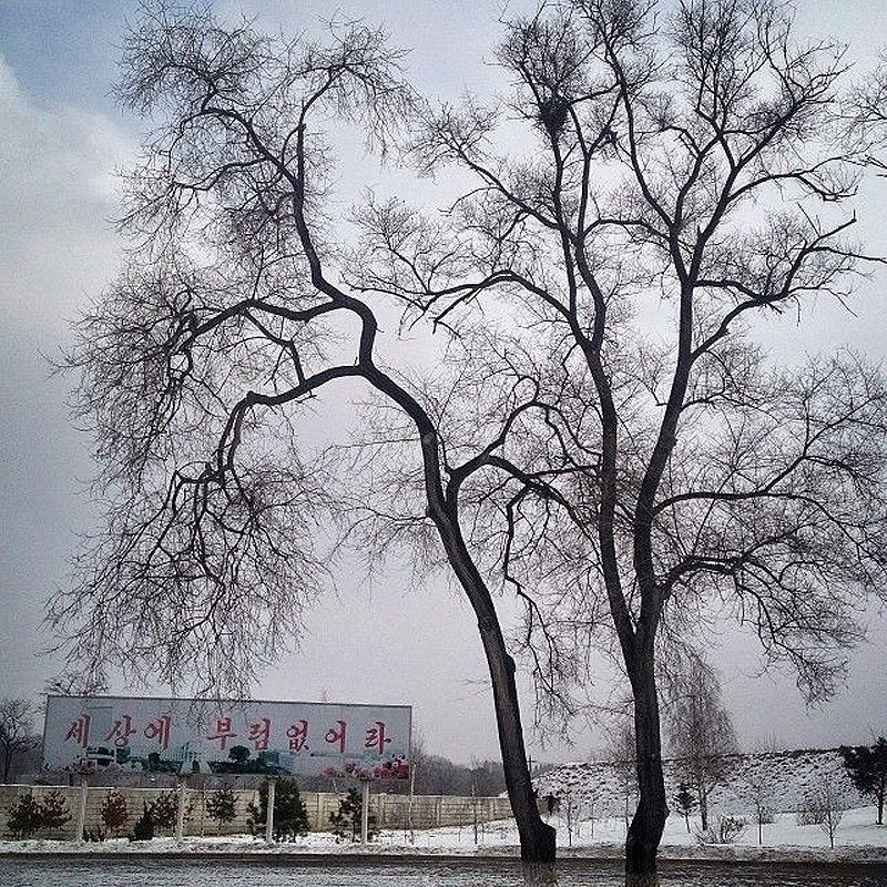 Instagram-фотографом года по версии TIME стал автор блога о Северной Корее