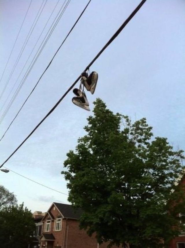 Тем временем в Канаде ...