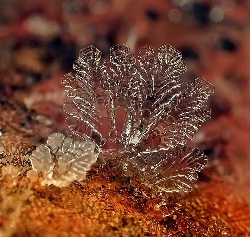 Снежинки Андрея Осокина