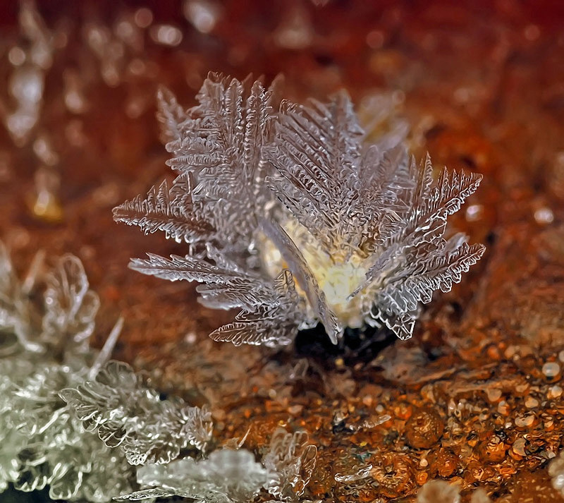 Снежинки Андрея Осокина