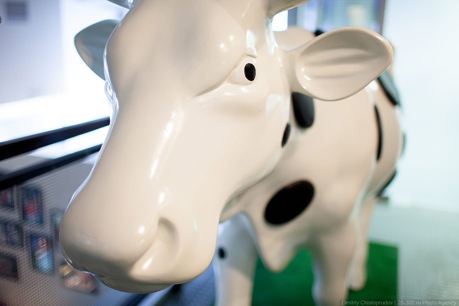 Офис радиостанции «Серебряный дождь» Офис радиостанции «Серебряный дождь»