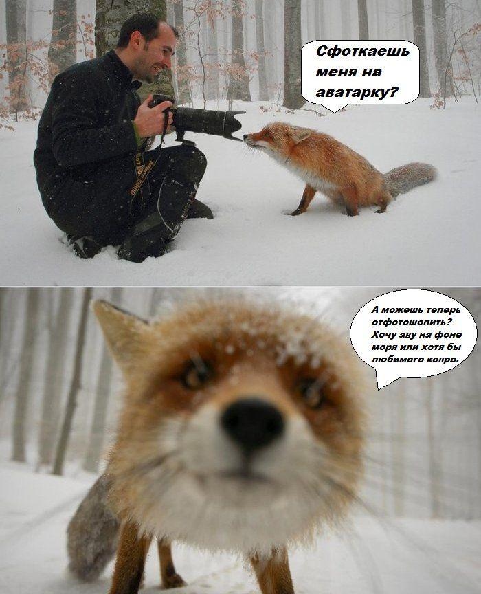 Прикольные картинки