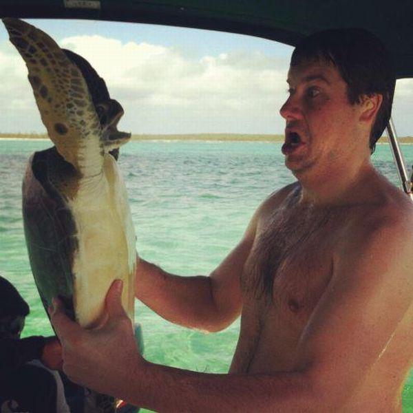 Прикольные картинки