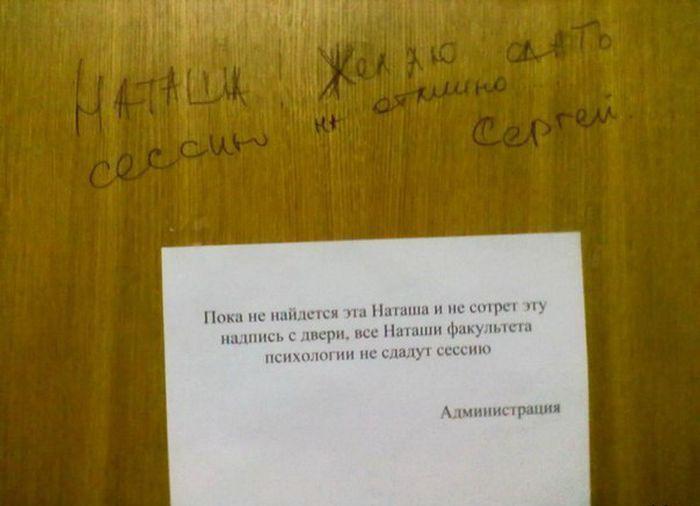 Прикольные картинки