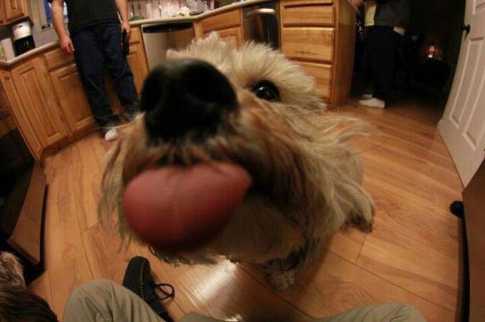 Прикольные картинки