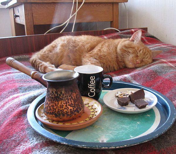 Прикольные картинки