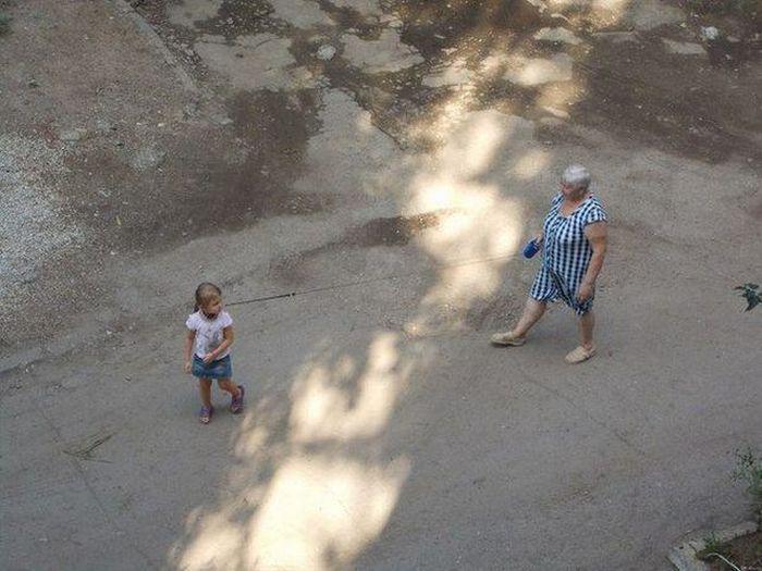 Прикольные картинки