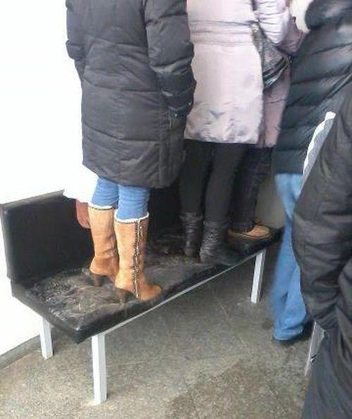 Прикольные картинки