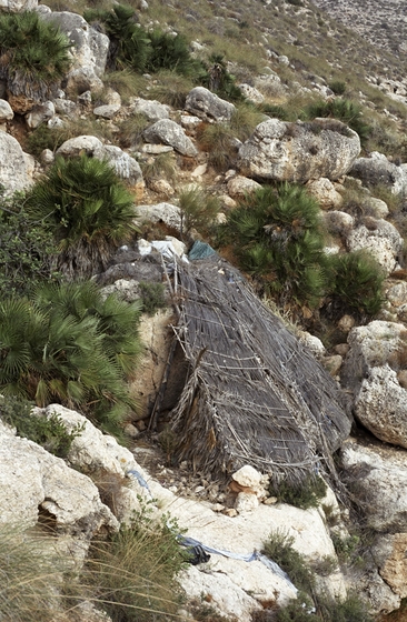 Эко вас угораздило