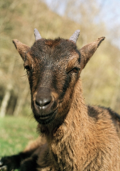 Эко вас угораздило