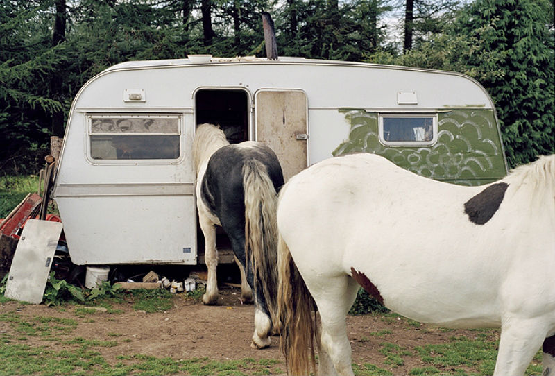 Эко вас угораздило