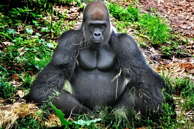 10 невероятных фактов о зеркалах 10 невероятных фактов о зеркалах