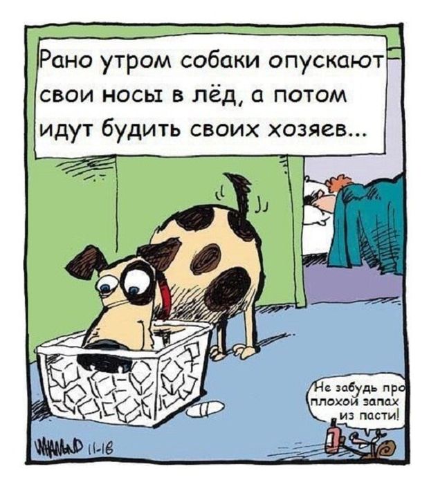 Смешные комиксы