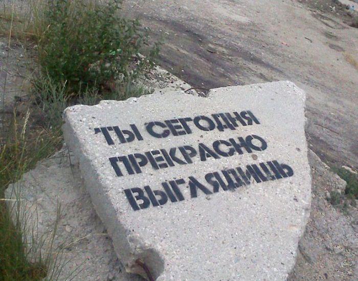 Прикольные картинки