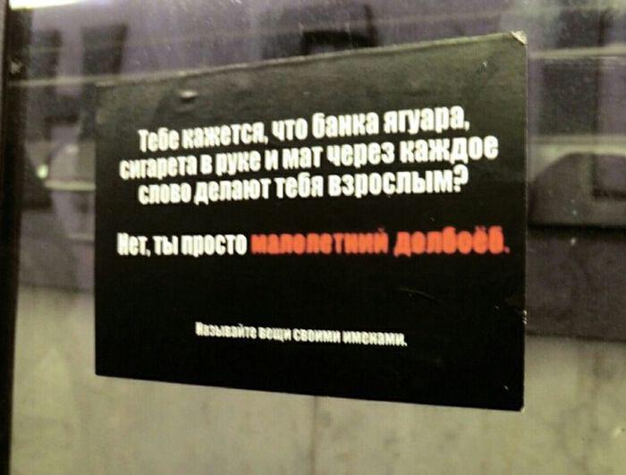 Прикольные картинки