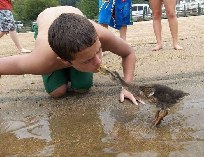 Прикольные картинки