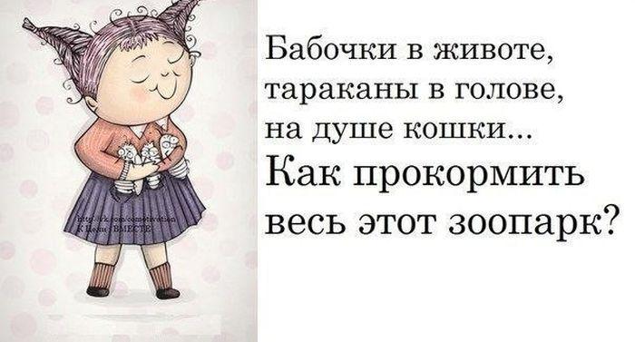 Прикольные картинки