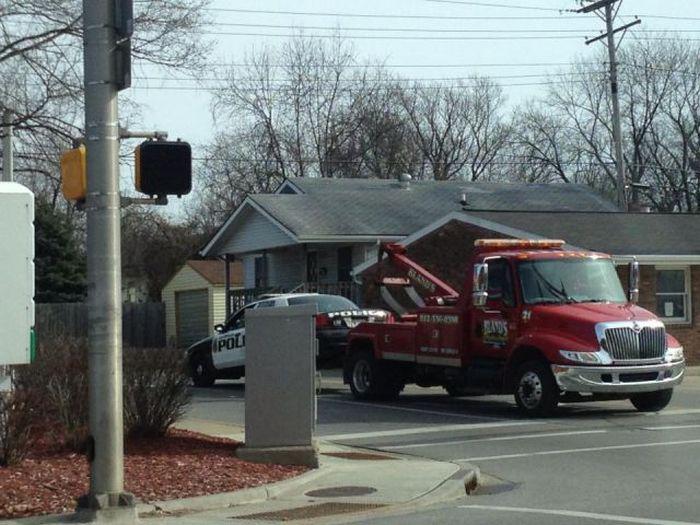 Прикольные картинки