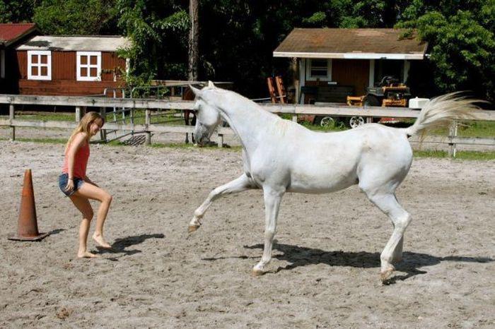 Прикольные картинки