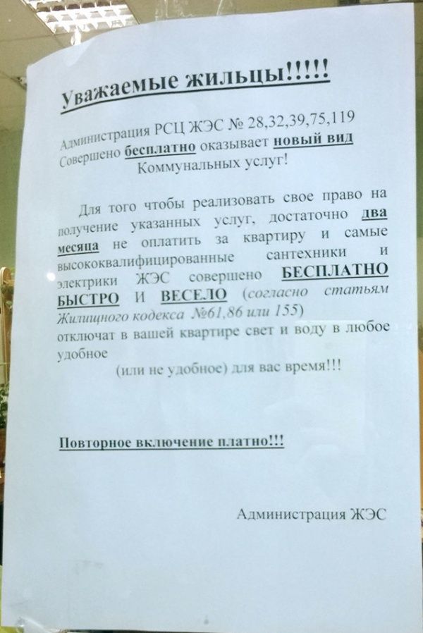 Народные маразмы (42 фото)