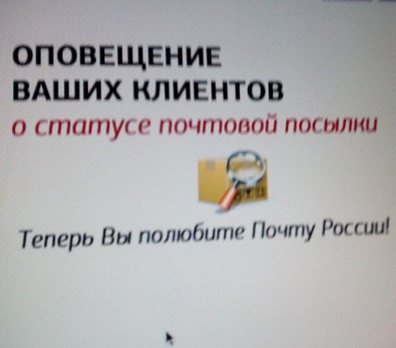 Народные маразмы (42 фото)