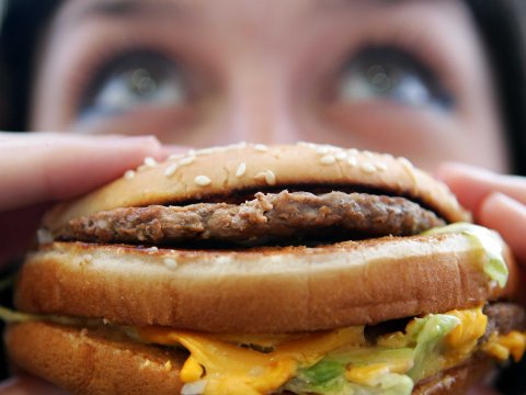 «А эскимо на палочке тебе не дать?» или страшная сказка о том, как в нашу повседневную еду коварно просачиваются фекалии «А эскимо на палочке тебе не дать?» или страшная сказка о том, как в нашу повседневную еду коварно просачиваются фекалии