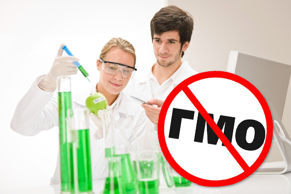 «А эскимо на палочке тебе не дать?» или страшная сказка о том, как в нашу повседневную еду коварно просачиваются фекалии «А эскимо на палочке тебе не дать?» или страшная сказка о том, как в нашу повседневную еду коварно просачиваются фекалии