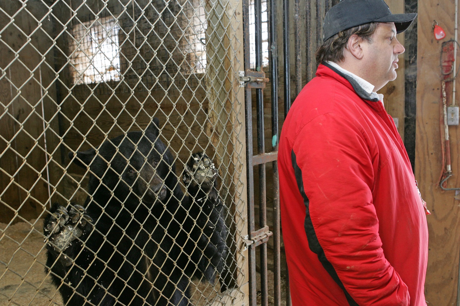 «Адские штучки» или несколько крайне поучительных историй с участием секс-игрушек, которые достойны настоящего фильма ужасов «Адские штучки» или несколько крайне поучительных историй с участием секс-игрушек, которые достойны настоящего фильма ужасов