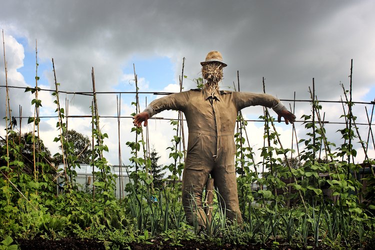 «Адские штучки» или несколько крайне поучительных историй с участием секс-игрушек, которые достойны настоящего фильма ужасов «Адские штучки» или несколько крайне поучительных историй с участием секс-игрушек, которые достойны настоящего фильма ужасов