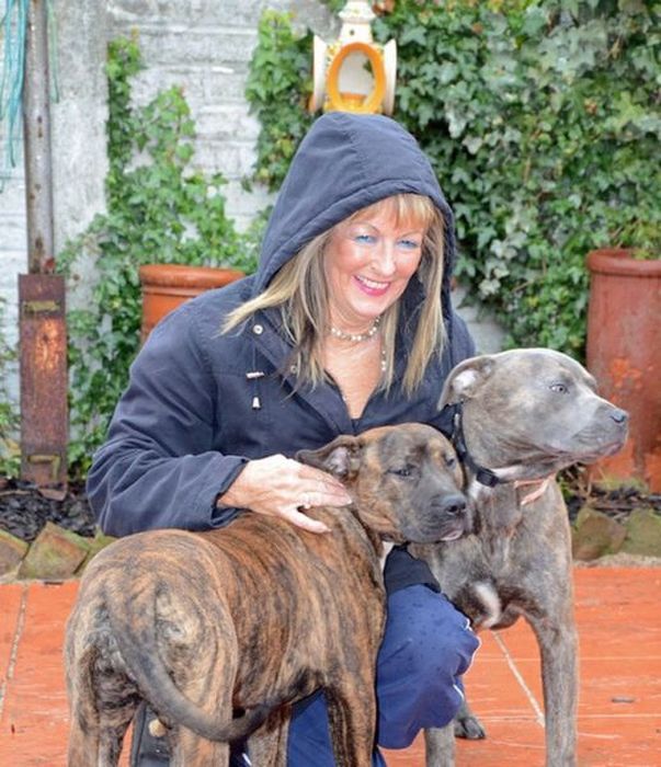 Ветеран труда