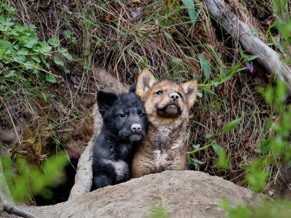 National Geographic: лучшие фотографии марта