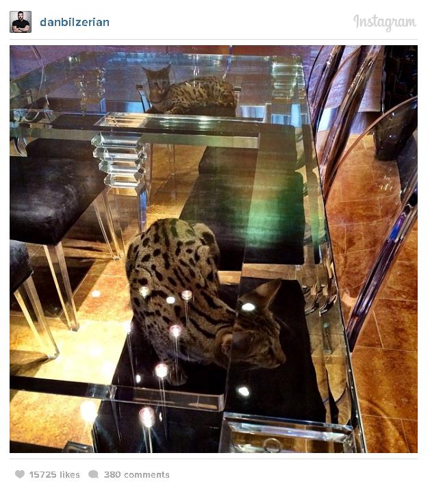 Жизнь плейбоя, миллионера и звезды покера в Instagram