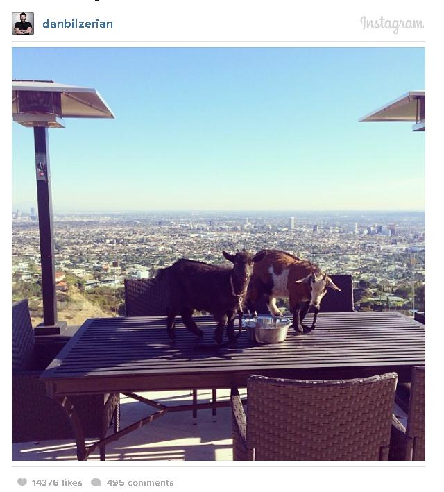 Жизнь плейбоя, миллионера и звезды покера в Instagram