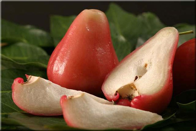 20 экзотических фруктов со всего света, о которых вы не слышали