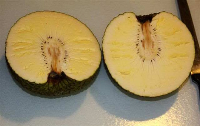 20 экзотических фруктов со всего света, о которых вы не слышали