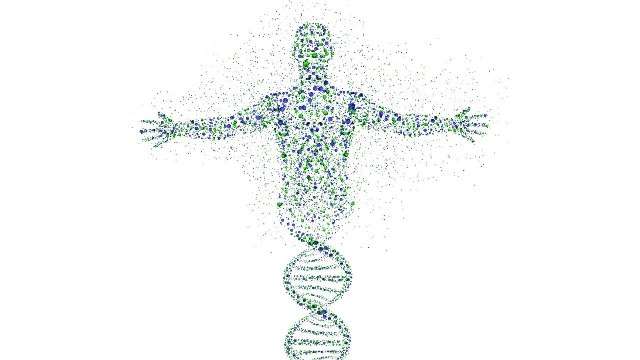 Познавательно о генетике Познавательно о генетике