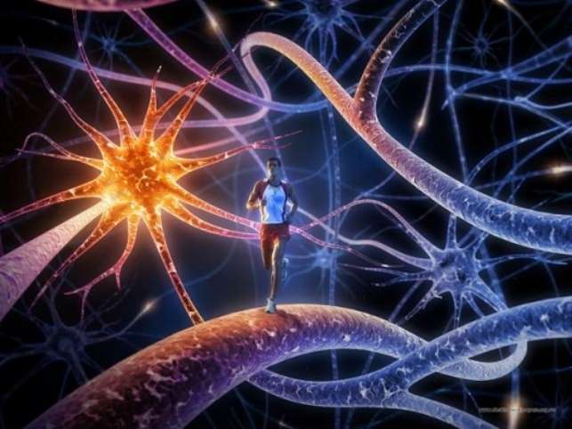 Познавательно о генетике Познавательно о генетике