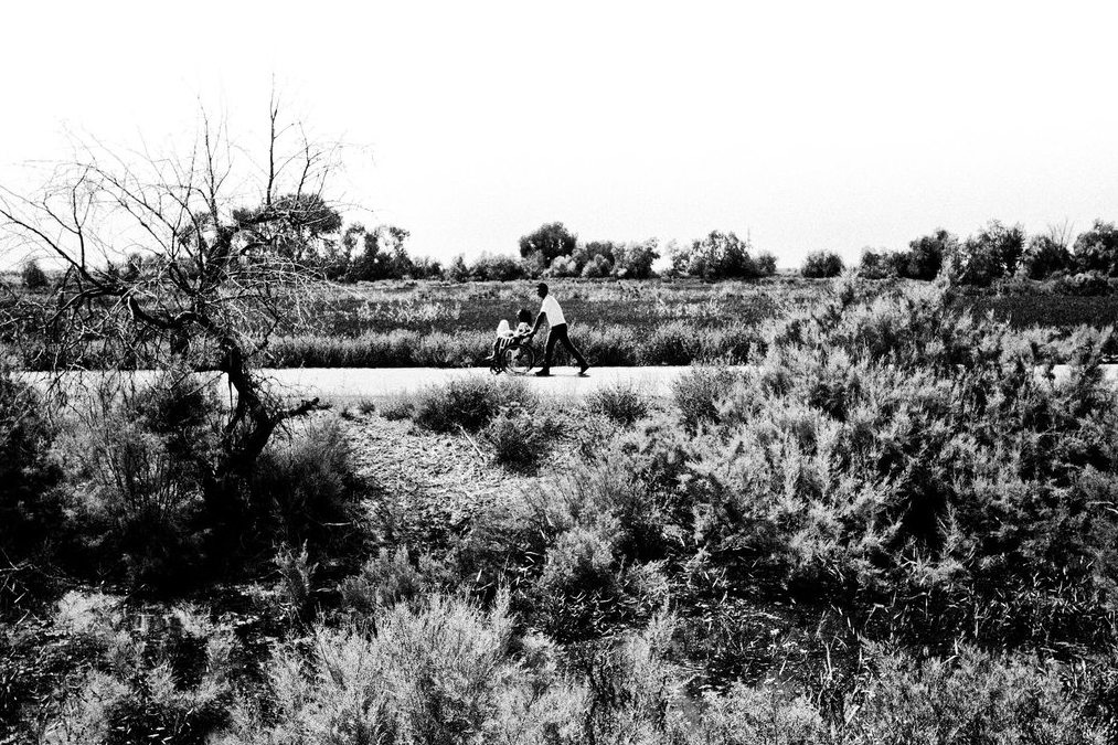 Туберкулез в СССР Туберкулез в СССР