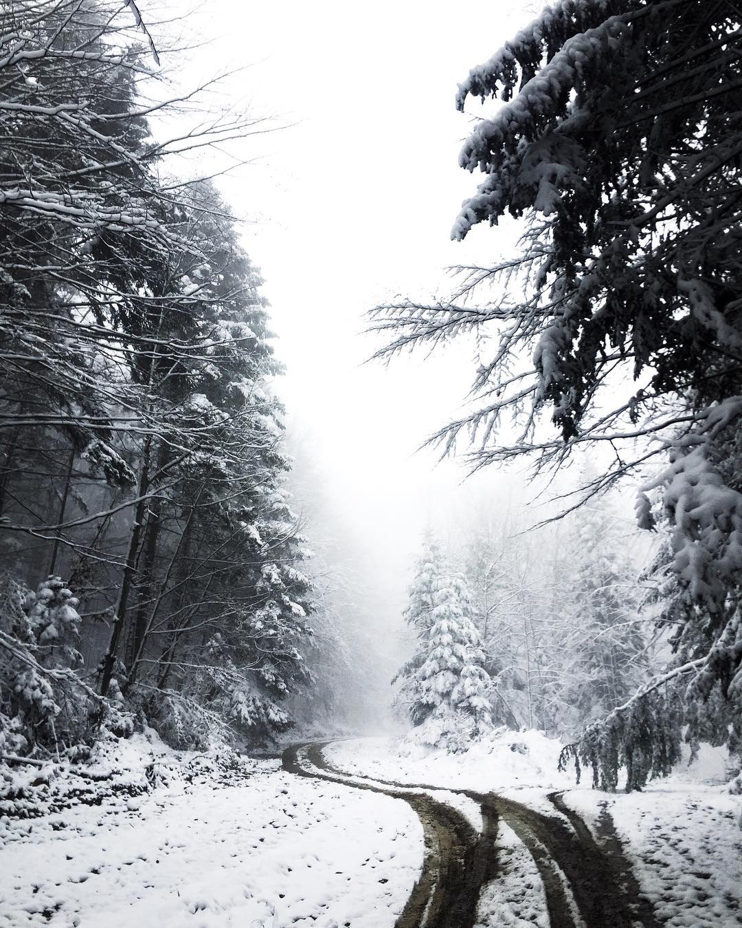 Живописные Карпаты с высоты