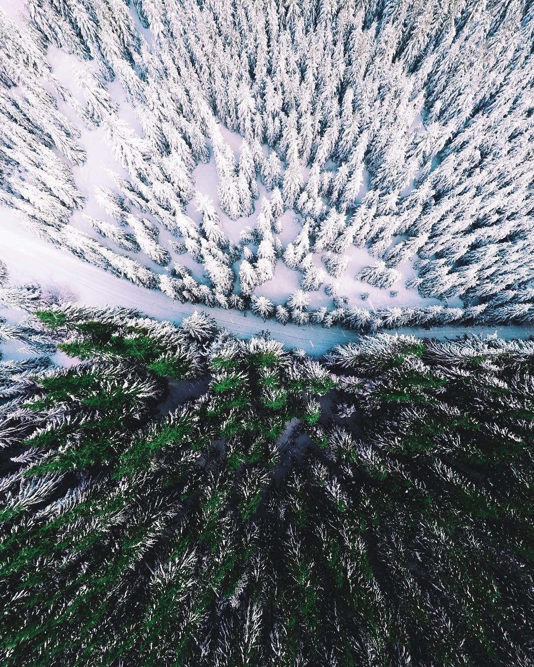 Живописные Карпаты с высоты