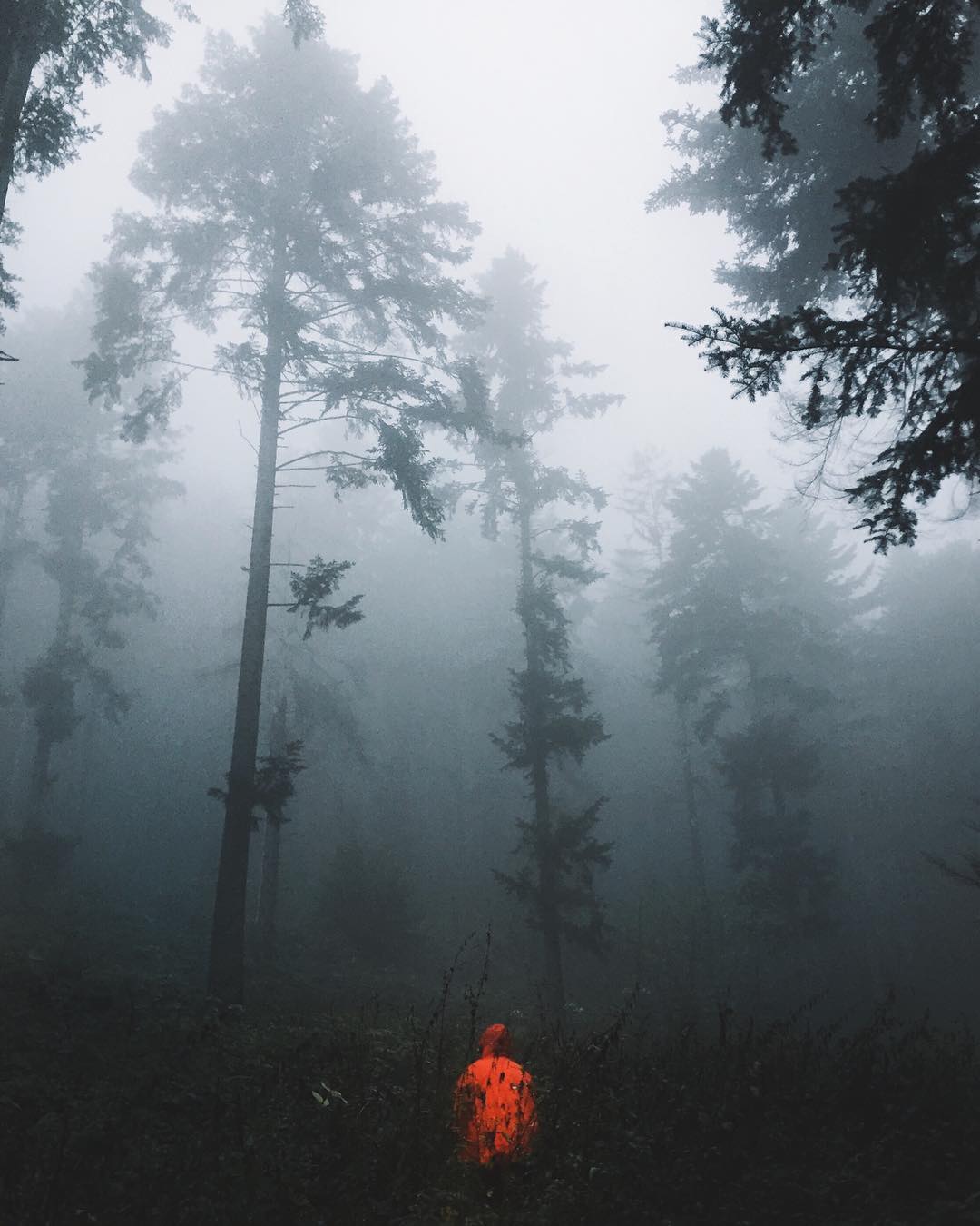 Живописные Карпаты с высоты