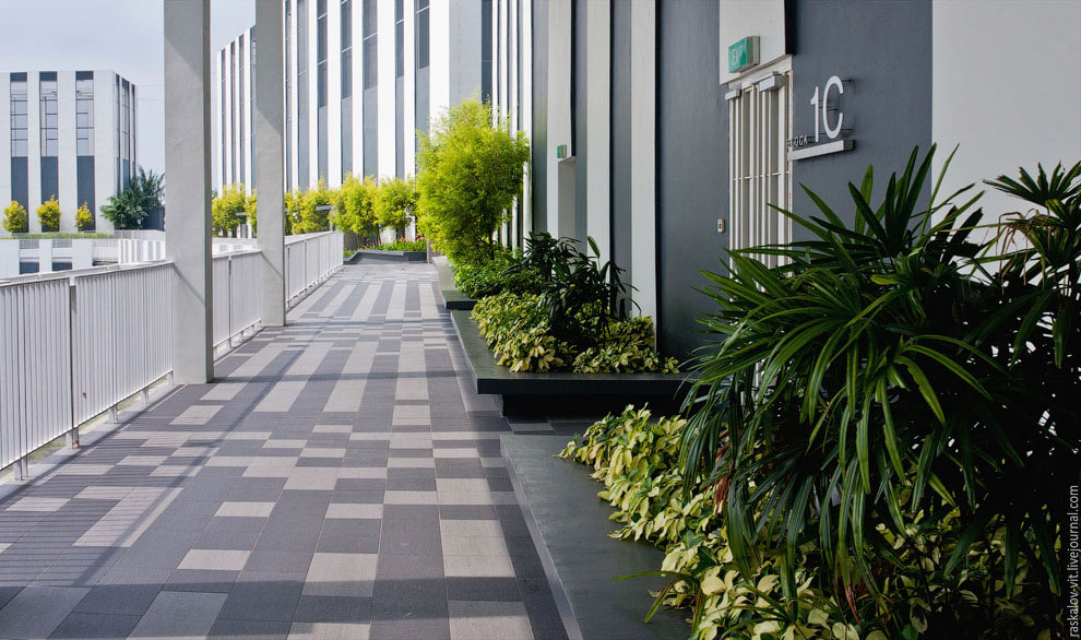 Сингапур с высоты