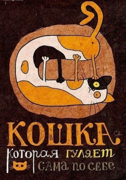 Старые книги на новый лад (51 картинка)