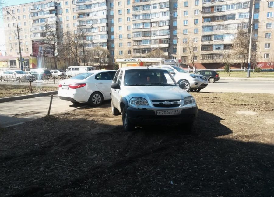 Я паркуюсь где хочу (27 фото)