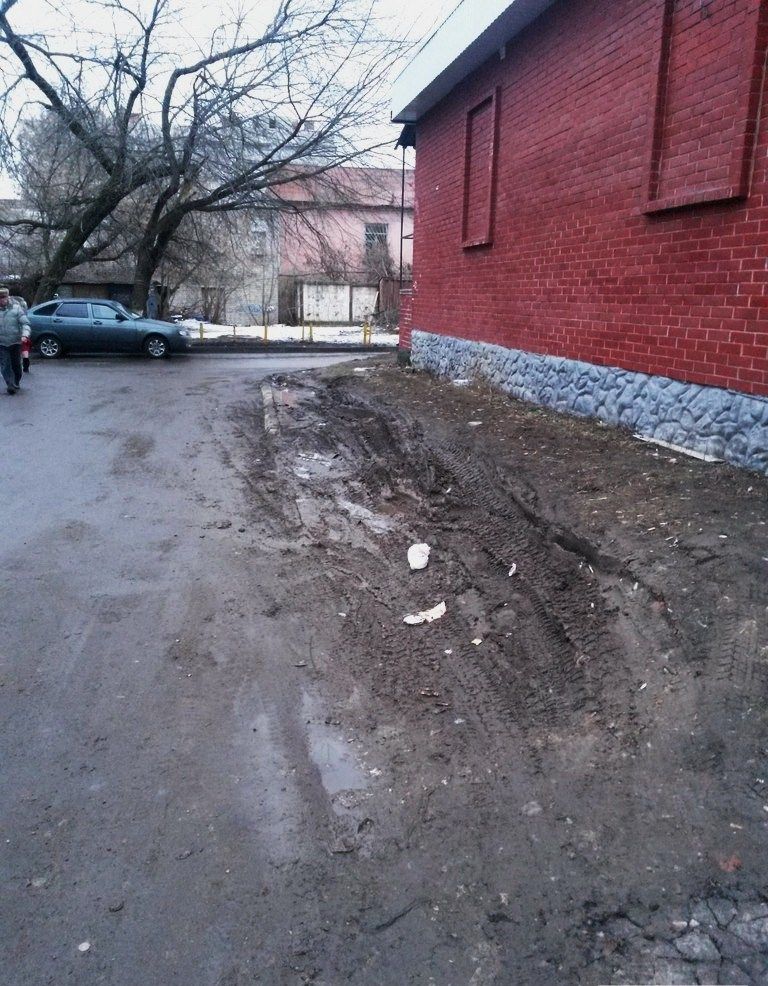 Я паркуюсь где хочу (27 фото)