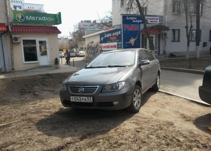 Я паркуюсь где хочу (27 фото)