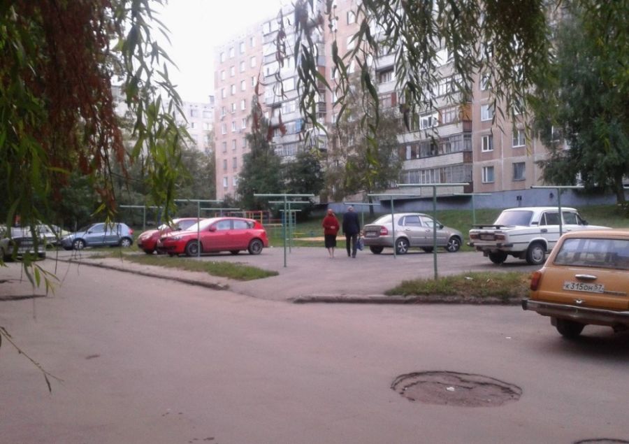 Я паркуюсь где хочу (27 фото)